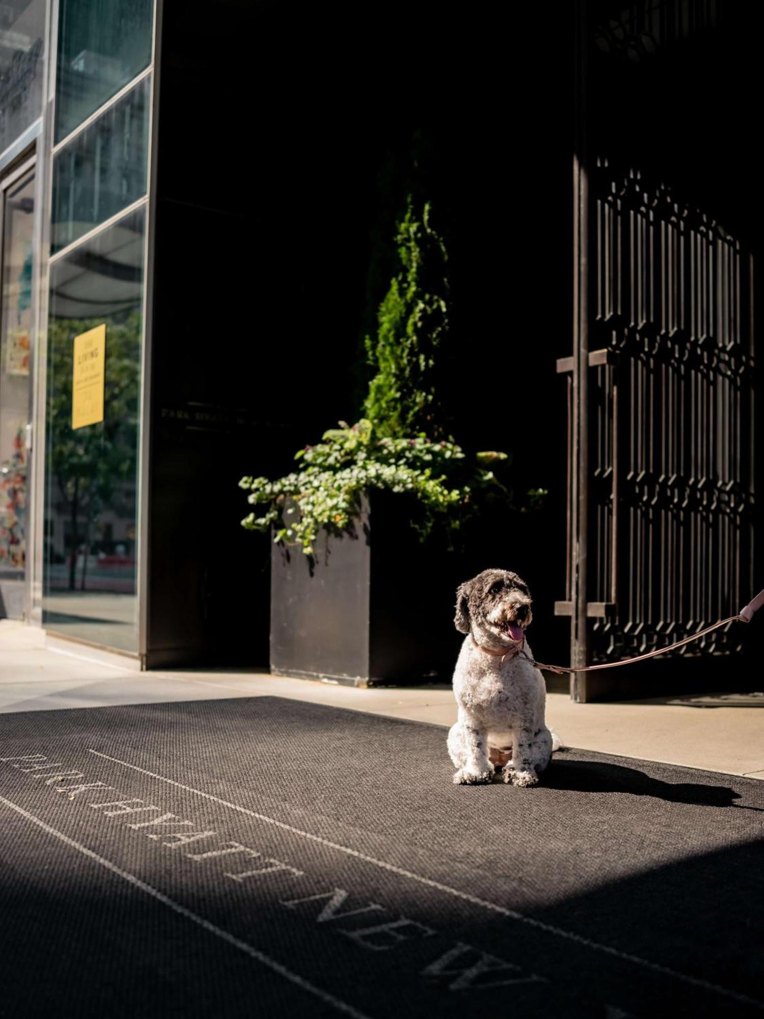 Hotel Park Hyatt New York Esterno foto